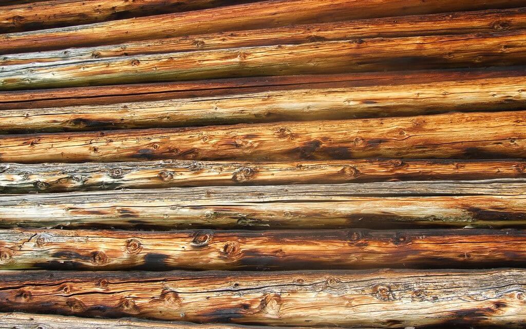 Tipologie di legno e loro utilizzi nel mondo edile